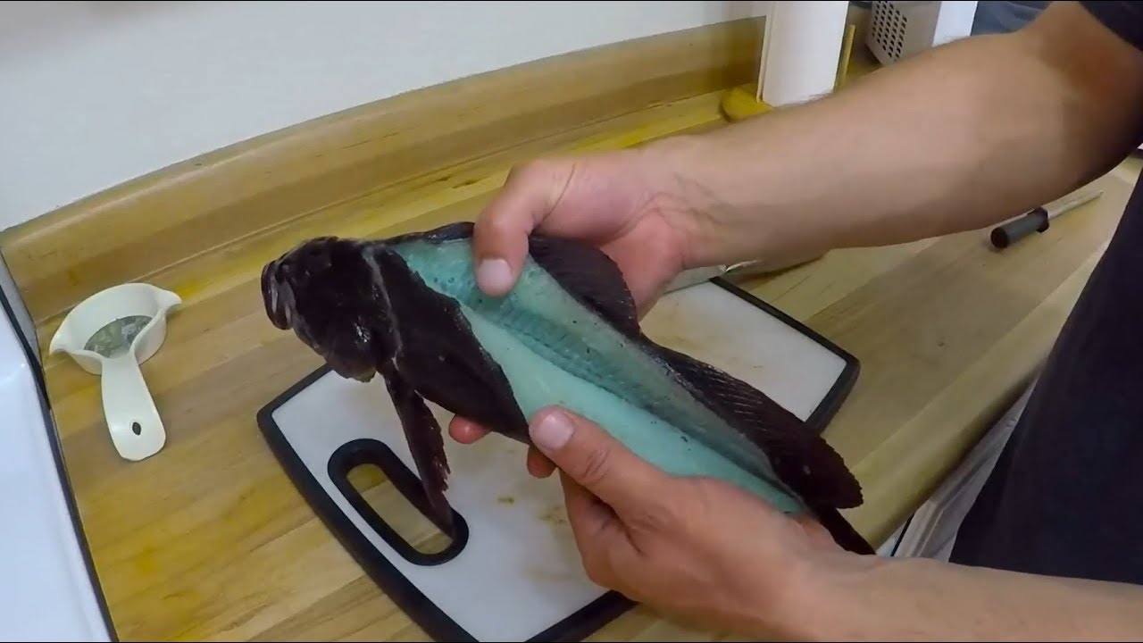 Summer time clear water, Greenling and Blue meat catch and cook