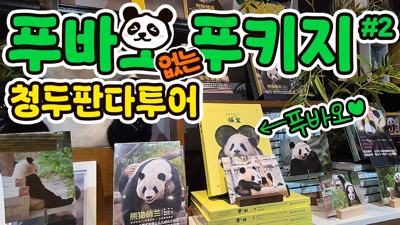 갑자기 푸바오 안나온다고요?!🐼청두시내 판다 성지순례