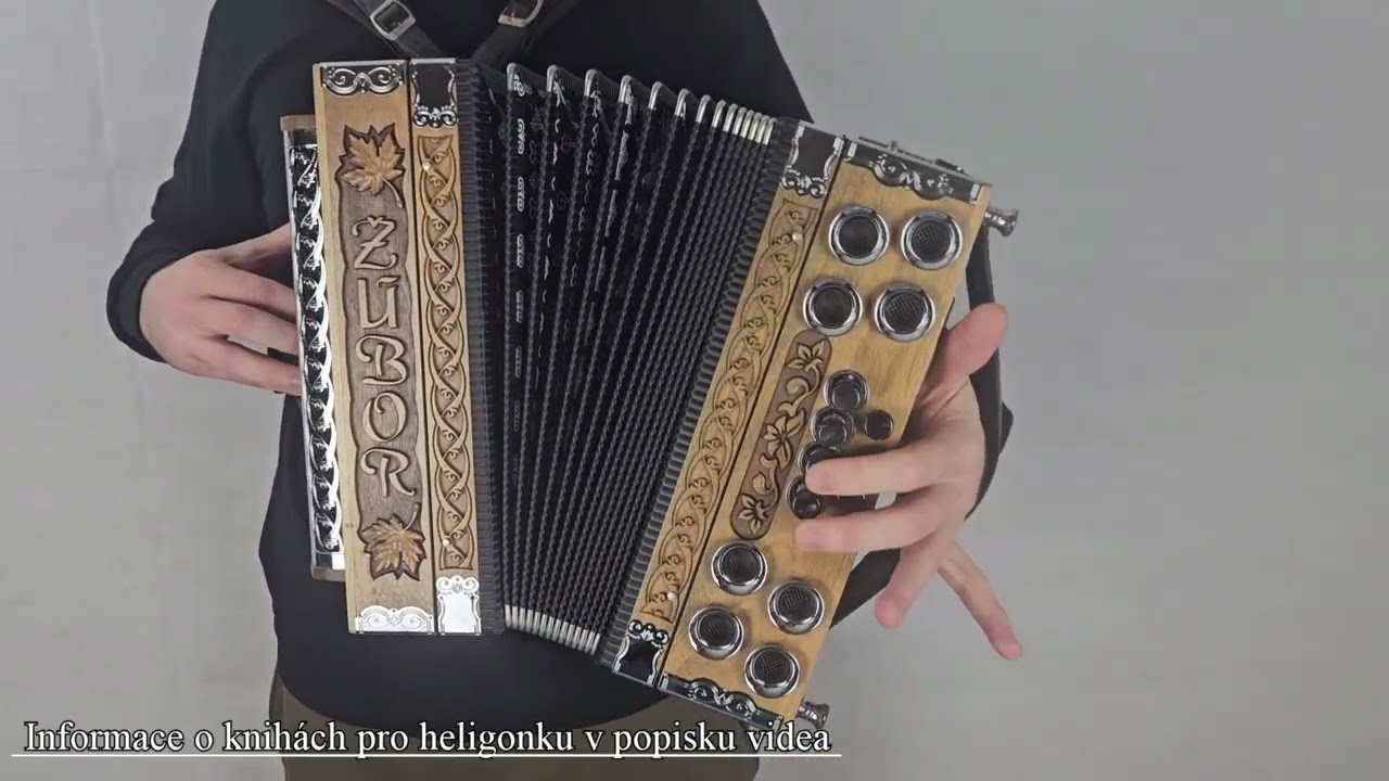 Heligonka- Majorán, majorán zelený majorán