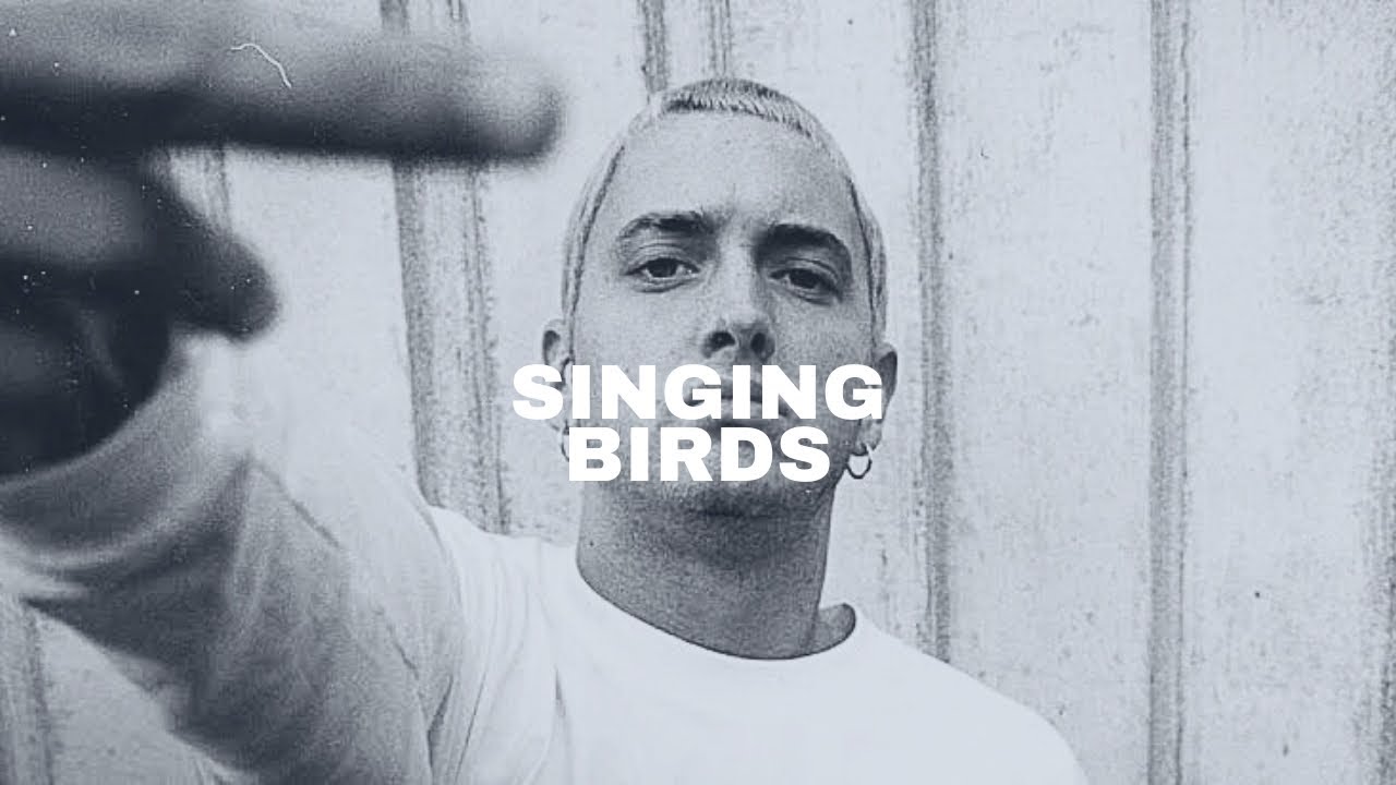 [FREE] Eminem Type Beat - Singing Birds (Story Teller )