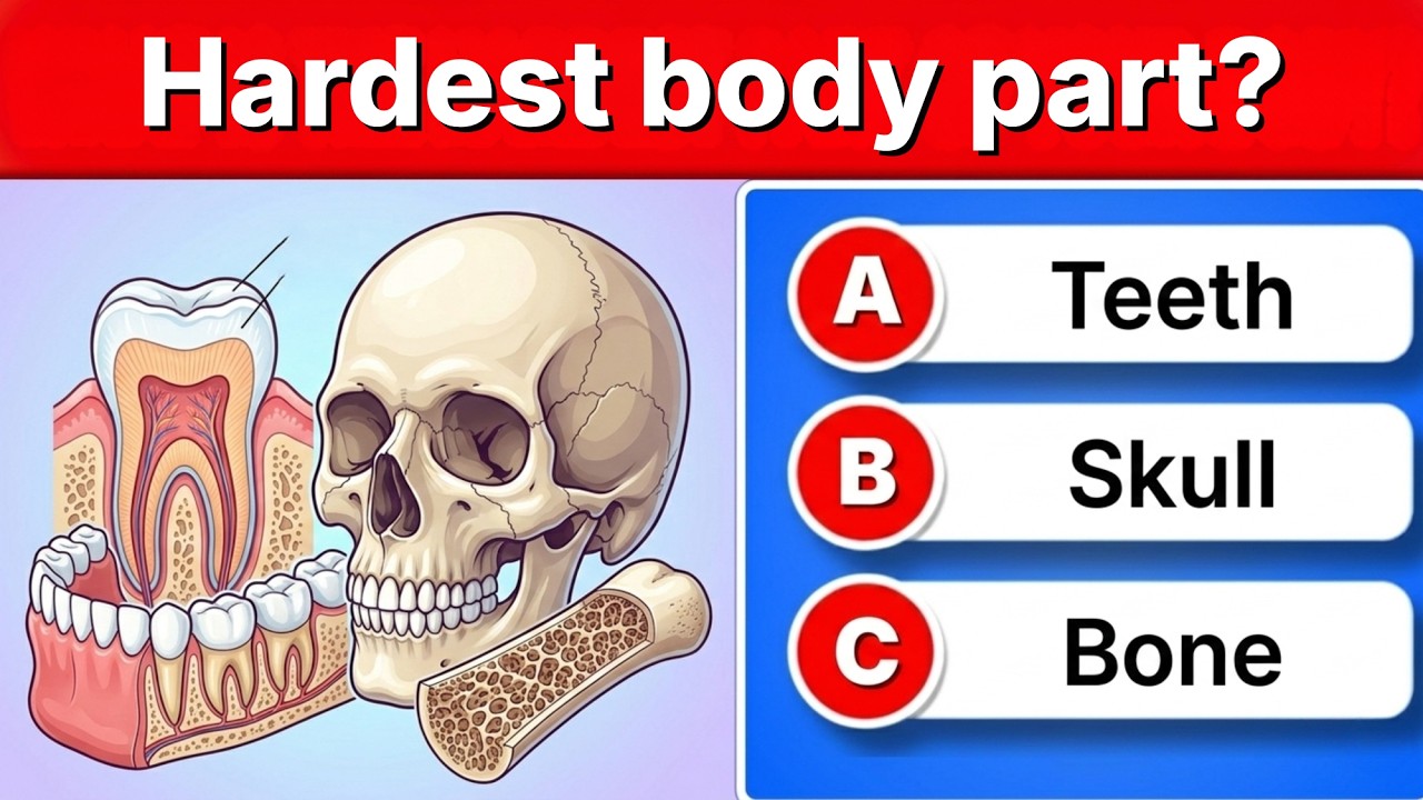 Can You Pass This 25-Question General Knowledge Test?🏆