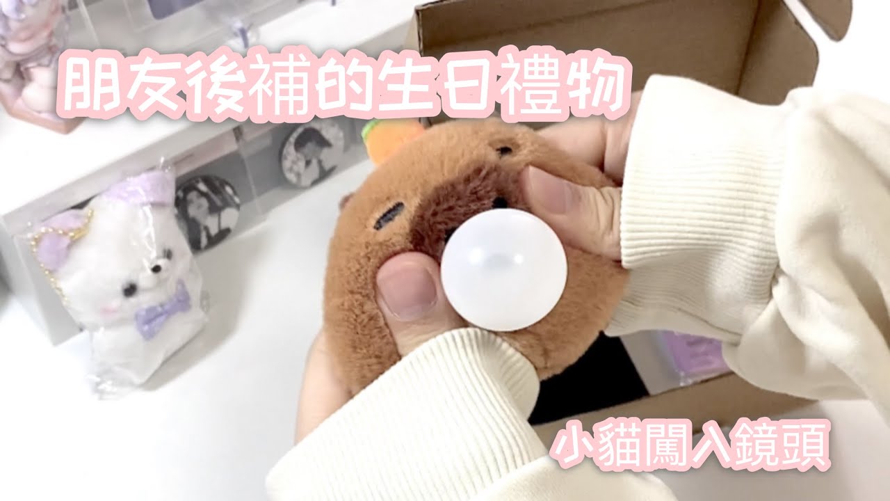 ✨朋友後補的生日禮物💝小卡居然是..‼️‼️n張自印➕n張貼紙🥹卡皮巴拉🫧🤎