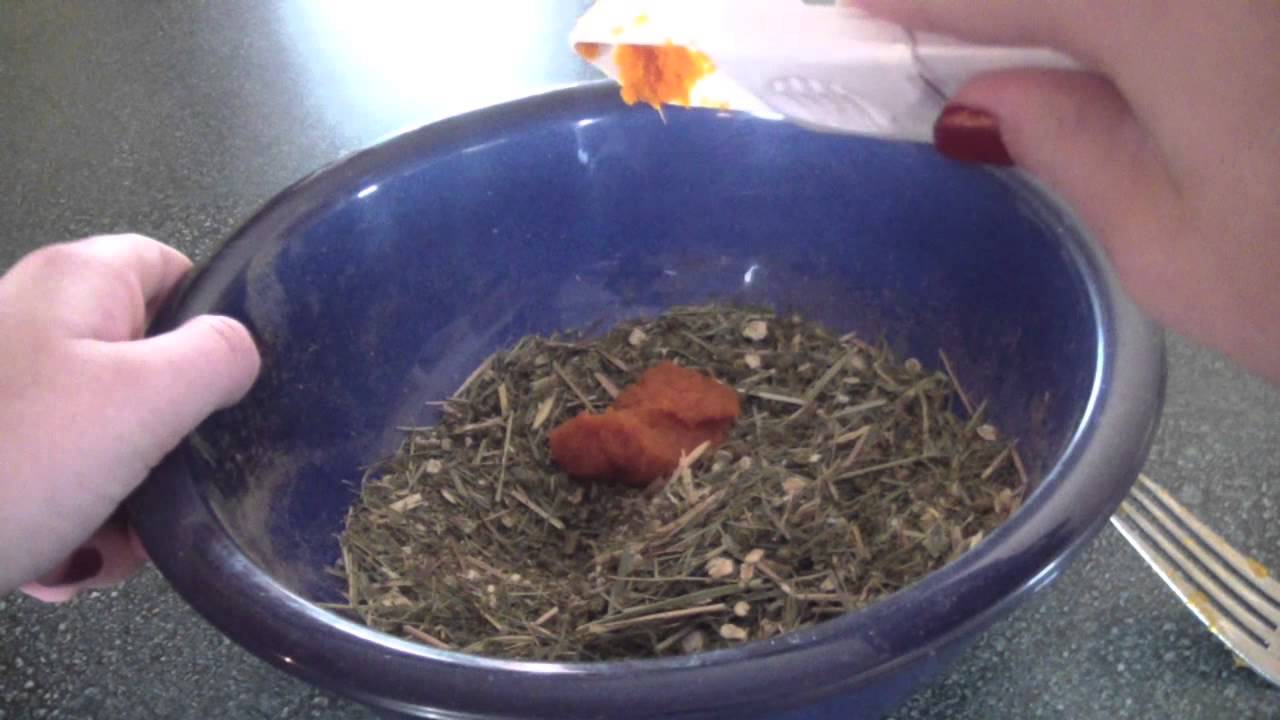 DIY Chinchilla Treats