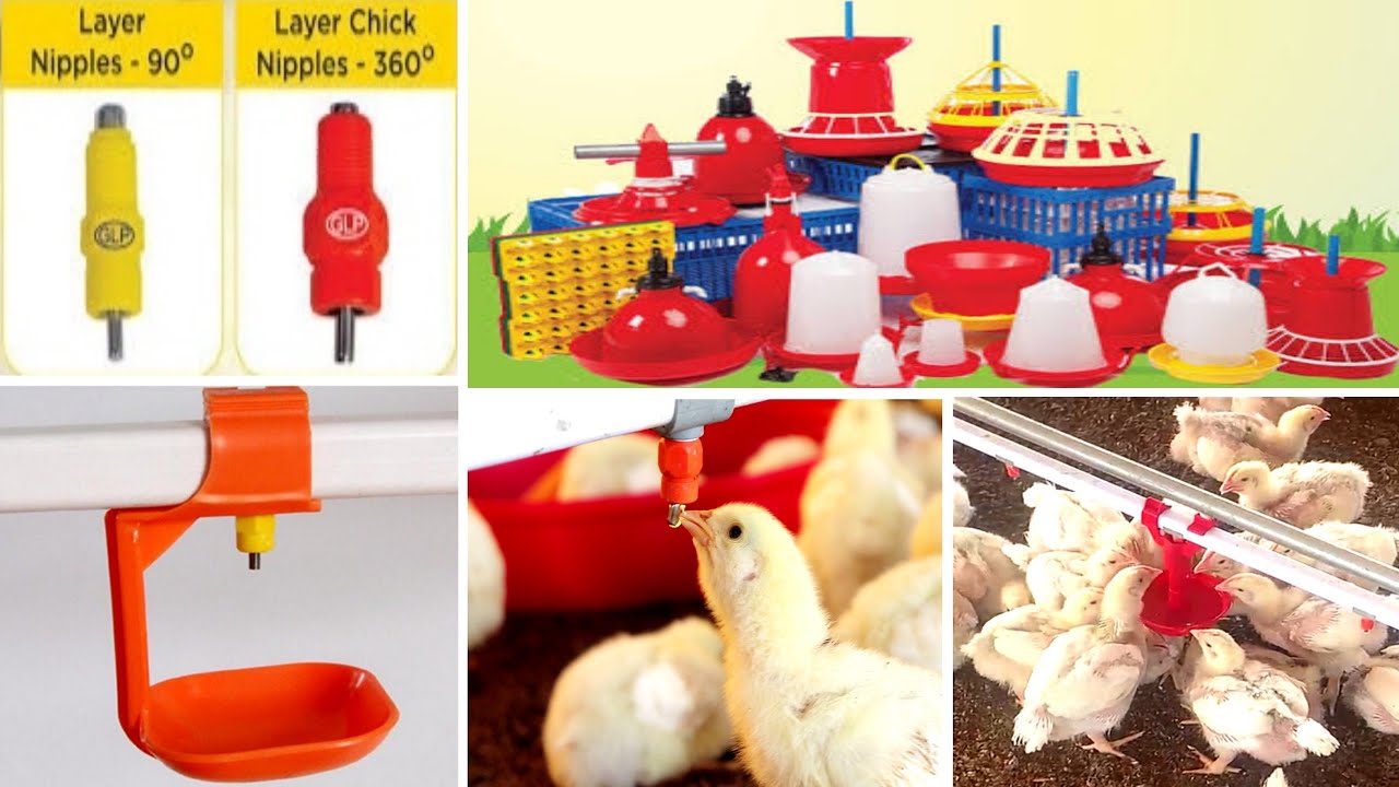 Automatic Nipple System for Poultry Farms | ரூ 9 இல் இருந்து முழு ஆட்டோமேட்டிக் | GLP Nipple Systems