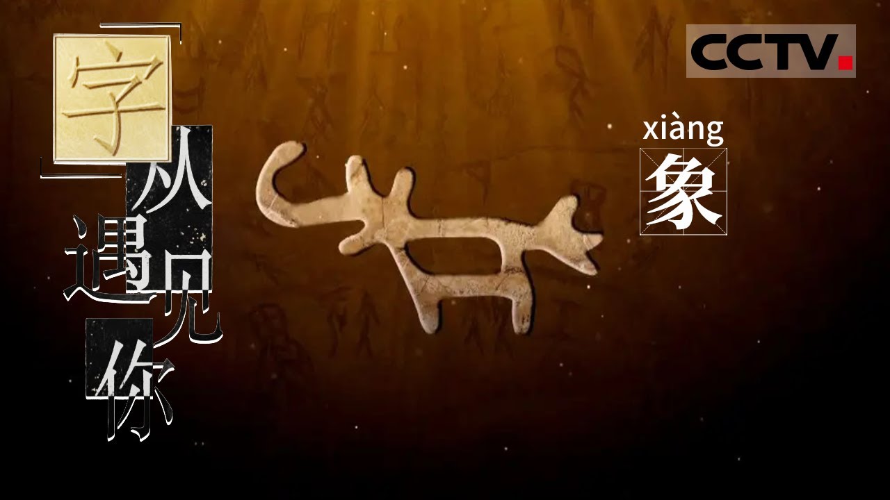 《“字”从遇见你》商代时的中原 不但大象多 甚至还被驯化成了武器【CCTV纪录】