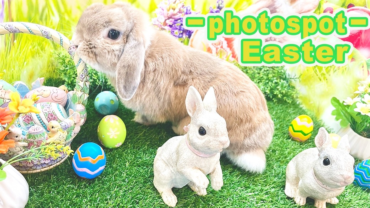 photospot【Easter】