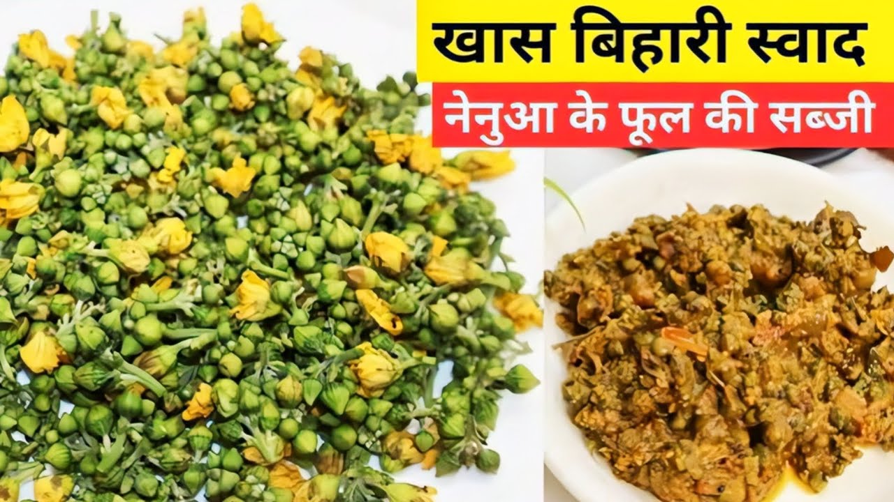नेनुआ का फूल का सब्जी कैसे बनाये | nenua ka sabji kaise banae | nenua ke phul ka recipe