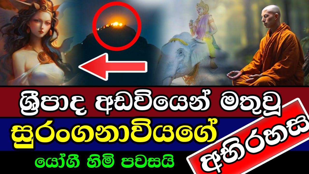 ශ්‍රීපාද අඩවියෙන් මතුවූ සුරංගනාවියන්ගේ අභිරහස් යෝගි හිමි පවසයි | Adams Peak | Sri Padaya |SriLanka