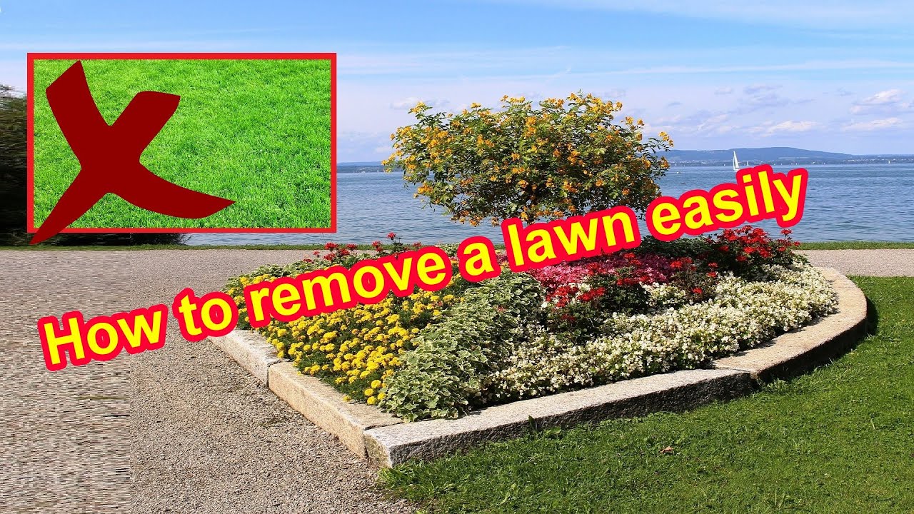 How to remove a lawn easily / How to remove grass permanently without chemicals & a machine