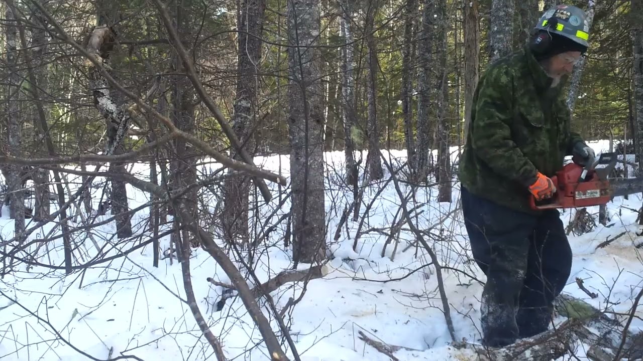 Husqvarna 41 part seven. Six minutes of raw Husky fun. No music