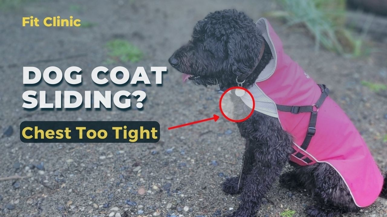 Why Your Dog Coat Slides to One Side (Real Fit Diagnosis)