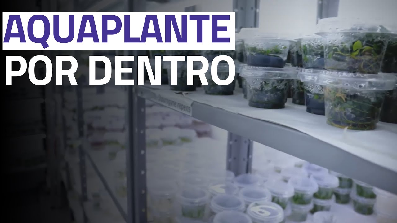 VISITAMOS a AquaPlante