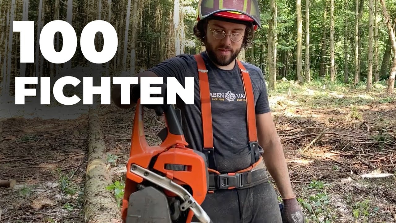 Denkweise von Waldbauer und Forstwirt | B&auml;ume f&auml;llen mit Motors&auml;ge und Holz r&uuml;cken mit R&uuml;ckewagen