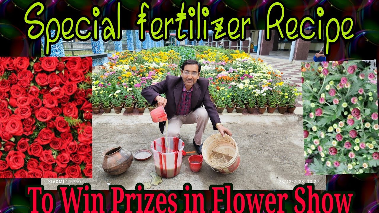 Stole the Recipe for Special Liquid fertilizer from Nurserymen who won prizes in flower Show