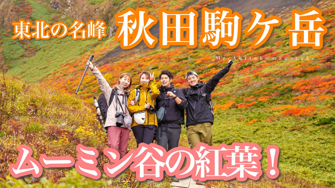 【紅葉登山2024】秋田駒ケ岳！絶景ムーミン谷の紅葉！【国見温泉登山口】