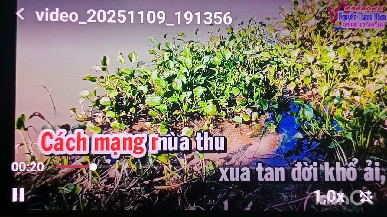 Karaoke VC,,Hoa Mua Trắng, dây đào non,, Minh Thành đờn Guitar & sến 