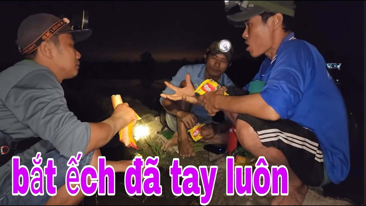 Soi Ếch Đồng Bắt Ếch Đã Tay Thu Phục Luôn Cặp Rắn Khổng Lồ Đi Ăn Đêm # SĂN BẮT ĐỒNG THÁP #