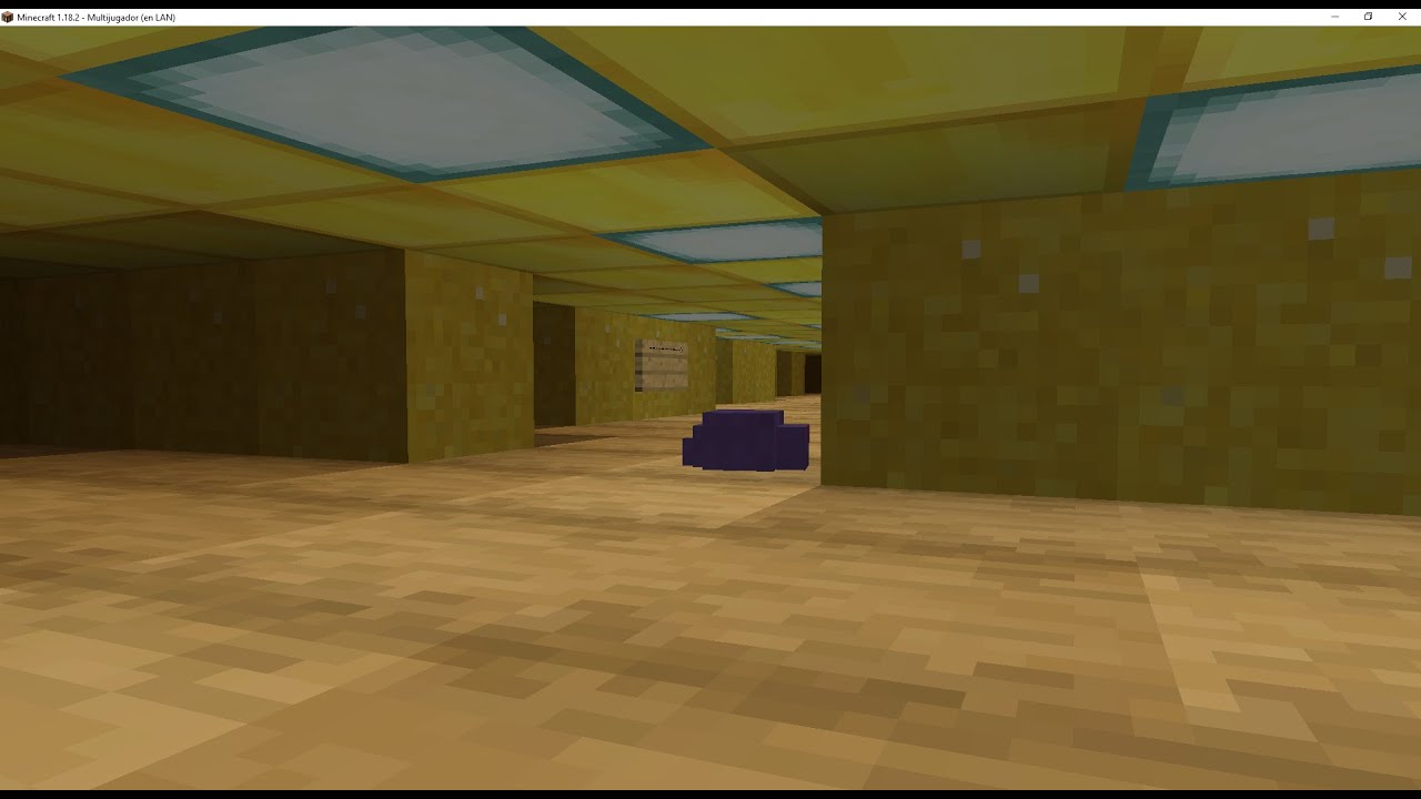 Backroooms Minecraft Found Footage (Mini)