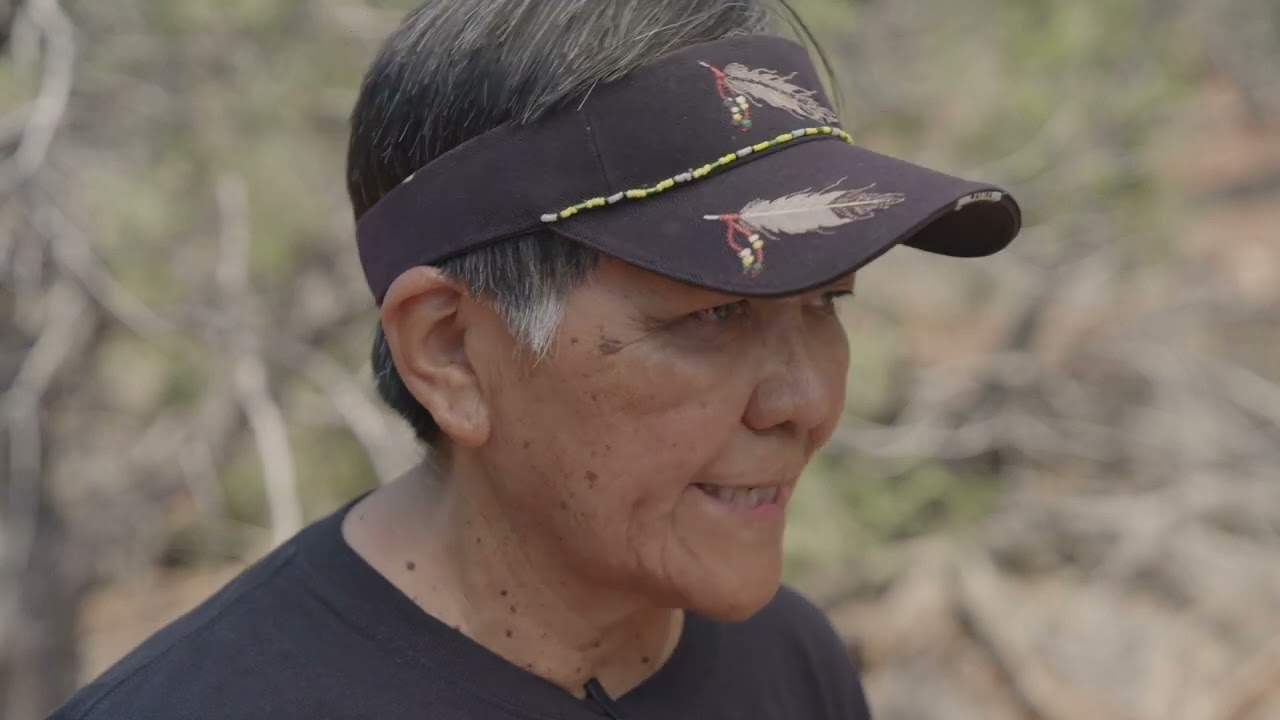 Protecting Archaeological Sites from the Heart