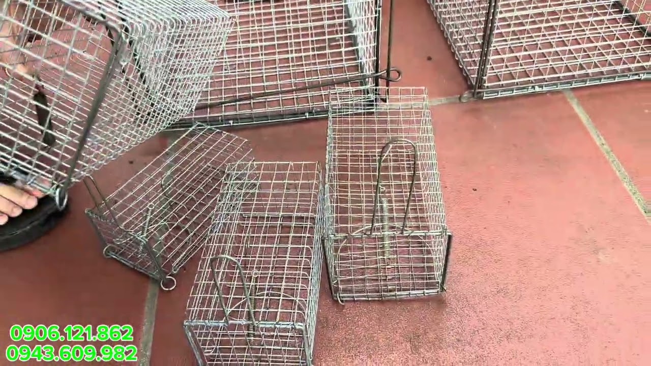 🐳🐳LỒNG MÈO, LỒNG CHUỘT ĐƯỜNG MÒN BÊN E XẢ KHO CÁC BÁC ƠI🧧