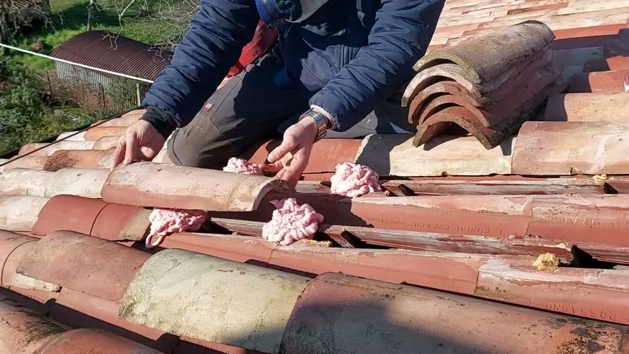 Video Spiegazione lavoro