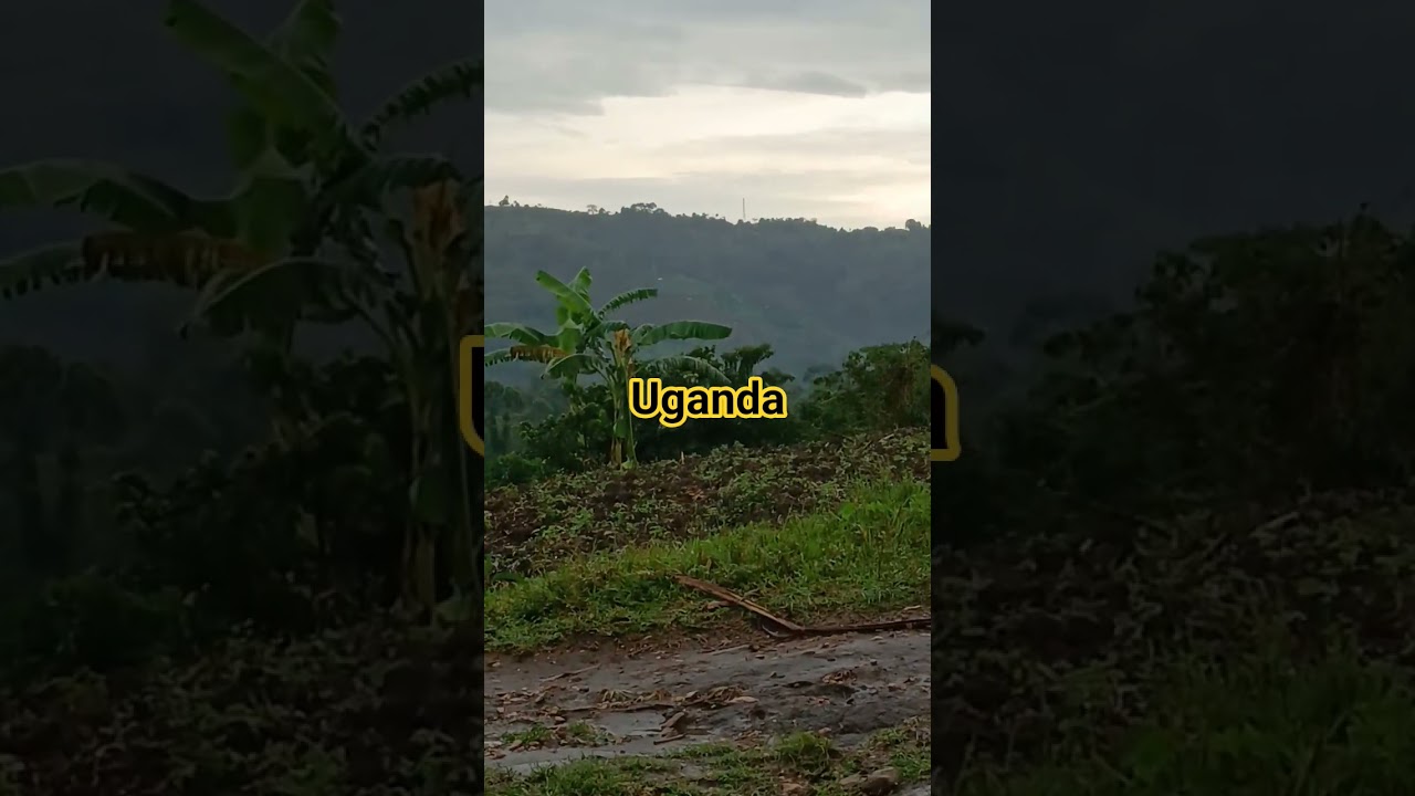 a tour to uganda #uganda #tourism #travellers #ugandanculture