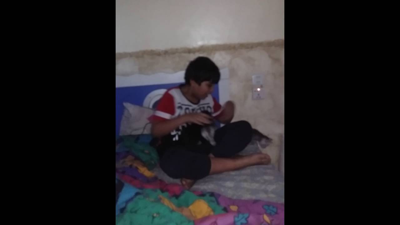 الهمجه