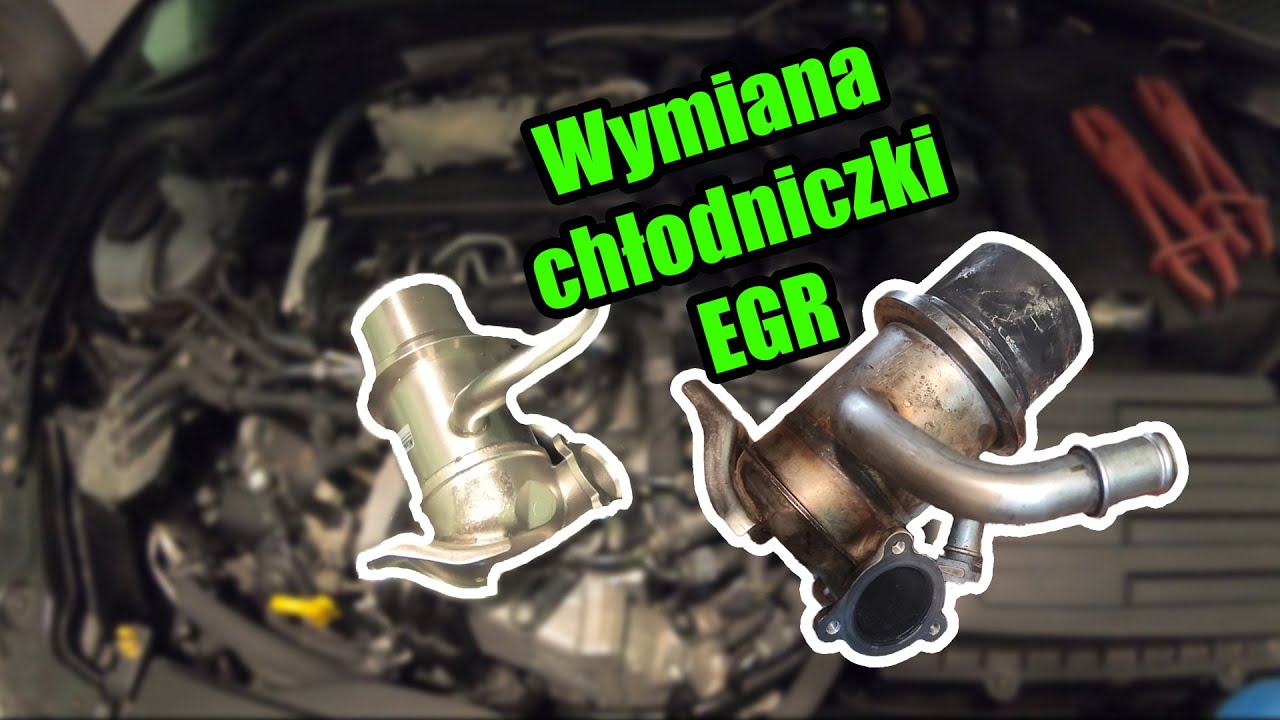 Wymiana chłodniczki EGR 1.6/2.0 TDI CR VAG | Zrób to sam | #ShotFix