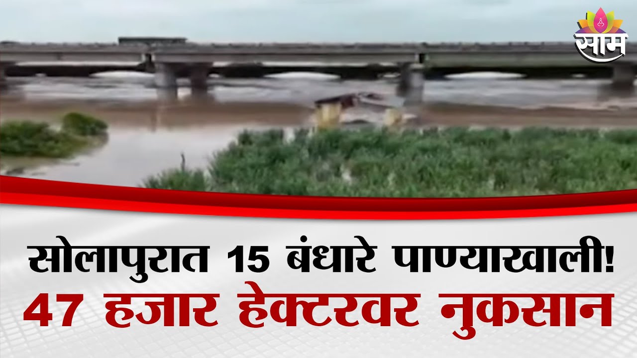 सोलापुरात 15 बंधारे पाण्याखाली! 47 हजार हेक्टरवर नुकसान | Solapur Flood News