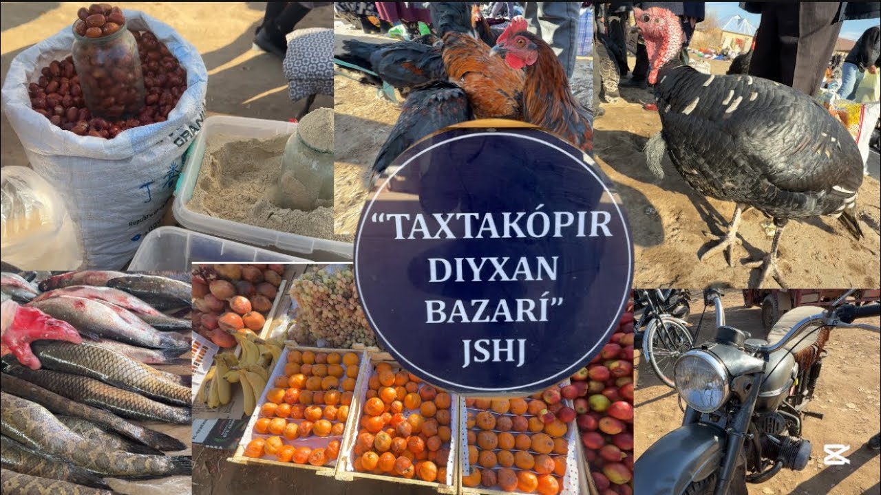 23 Ноябрь / Тахтакөпір дихан базарындағы бағалар / Балық, Тауық, Дән базар
