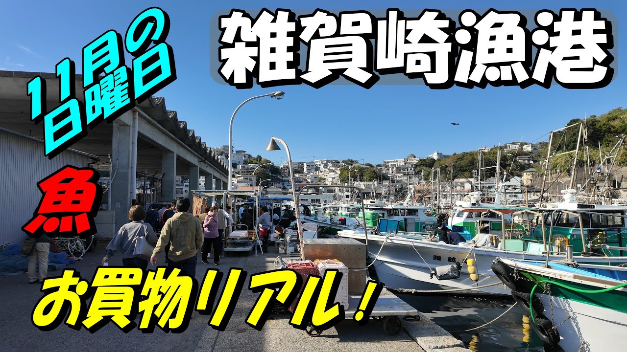 【雑賀崎漁港】１１月の日曜日　多数出漁の日にやっとタイミングが合いました。晩秋の鮮度の良い魚を買うために・・　でも厳しかった。前から気になっていたあの貝を買って食べました。