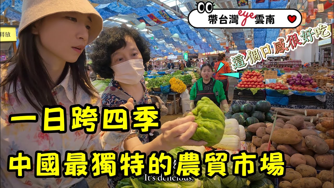 雲南篆新市場趕集｜雲南人的生鮮百科全書，讓雲南人欲罷不能的美食是什麼【帶台灣eye💗雲南】EP.2 Yunnan Zhuanxin super Market