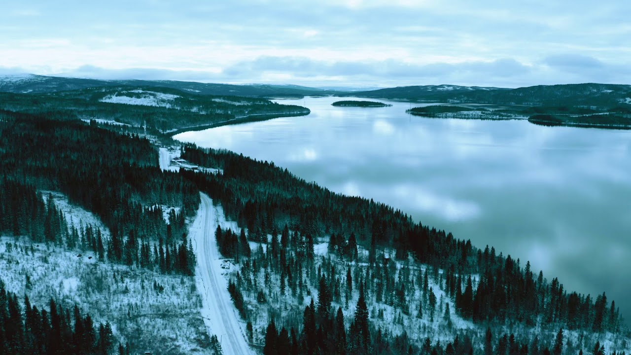 Frostviken Gäddede