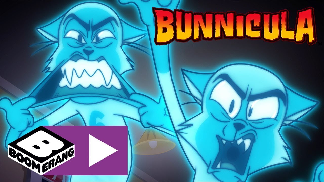 Bunnicula | Chester And His Ghost Gang | Boomerang UK 🇬🇧