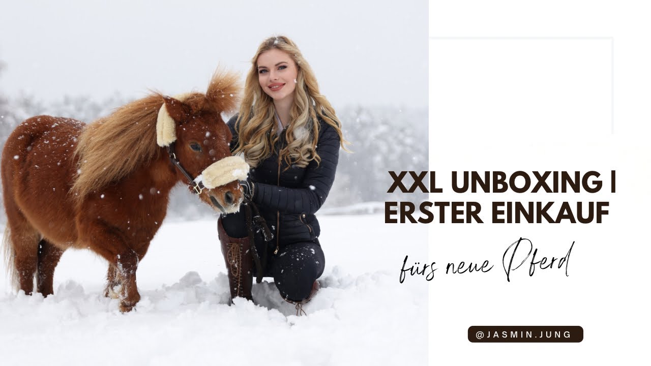 Erstausstattung fürs Shetty | XXL Unboxing🐴