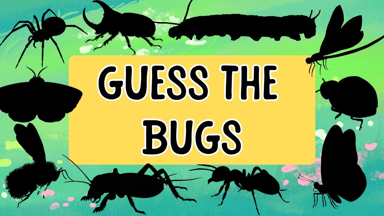 Guess the Bug! 🐛 Shadow Game for Kids | Learn About Insects and Creepy Crawlies