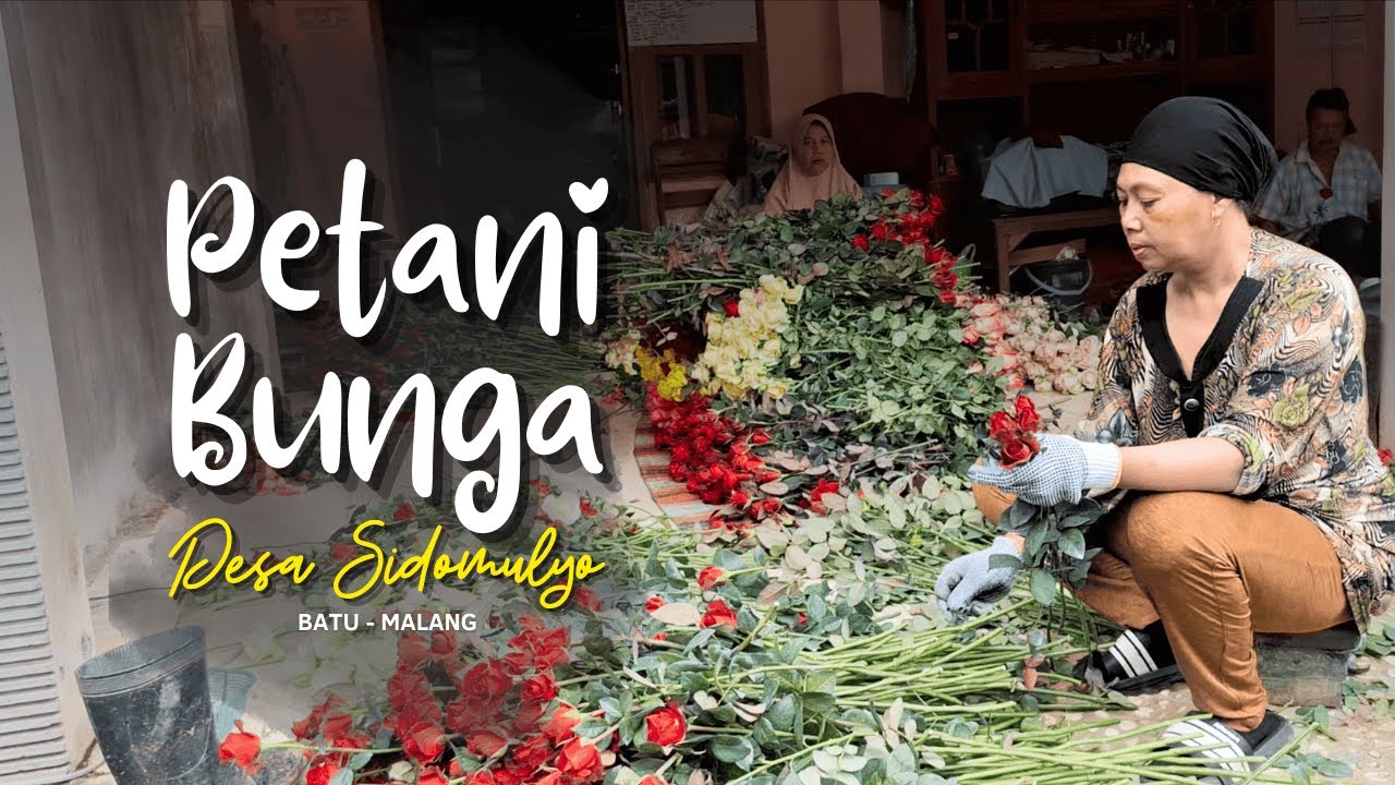 DESA SIDOMULYO BATU - INDAHNYA DESA & INDUSTRI BUNGA PENGGERAK EKONOMI WARGA 🌼🌹🌸