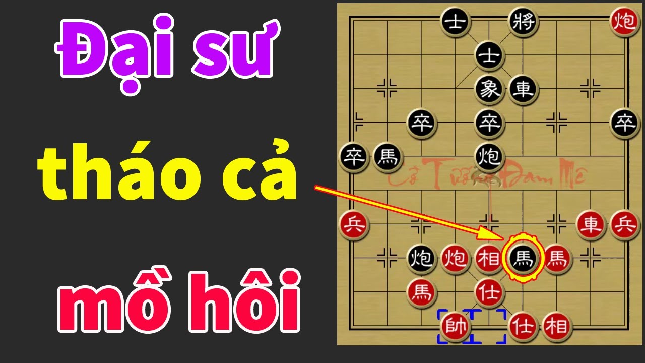 Cậu Bé Khiến Đặc Cấp Đại Sư Tháo Mồ Hôi Vì Tuyệt Chiêu Lạ - Cờ Tướng Hay Chấn Động Kỳ Đàn