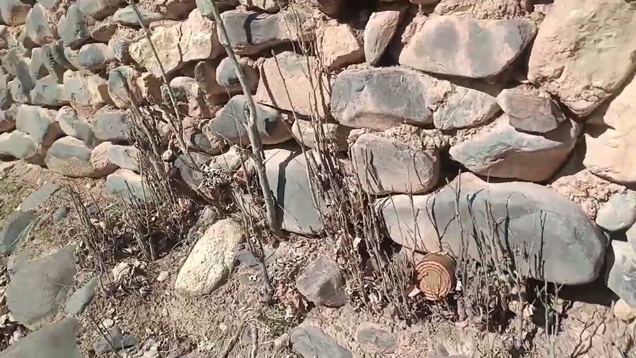 Солҳое, ки ман ҷавон будам ҷавониам дар хамин ҷо гузашт