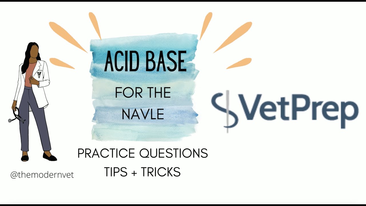HOW TO MASTER *ACID BASE* FOR THE NAVLE || VETPREP NAVLE Practice Questions