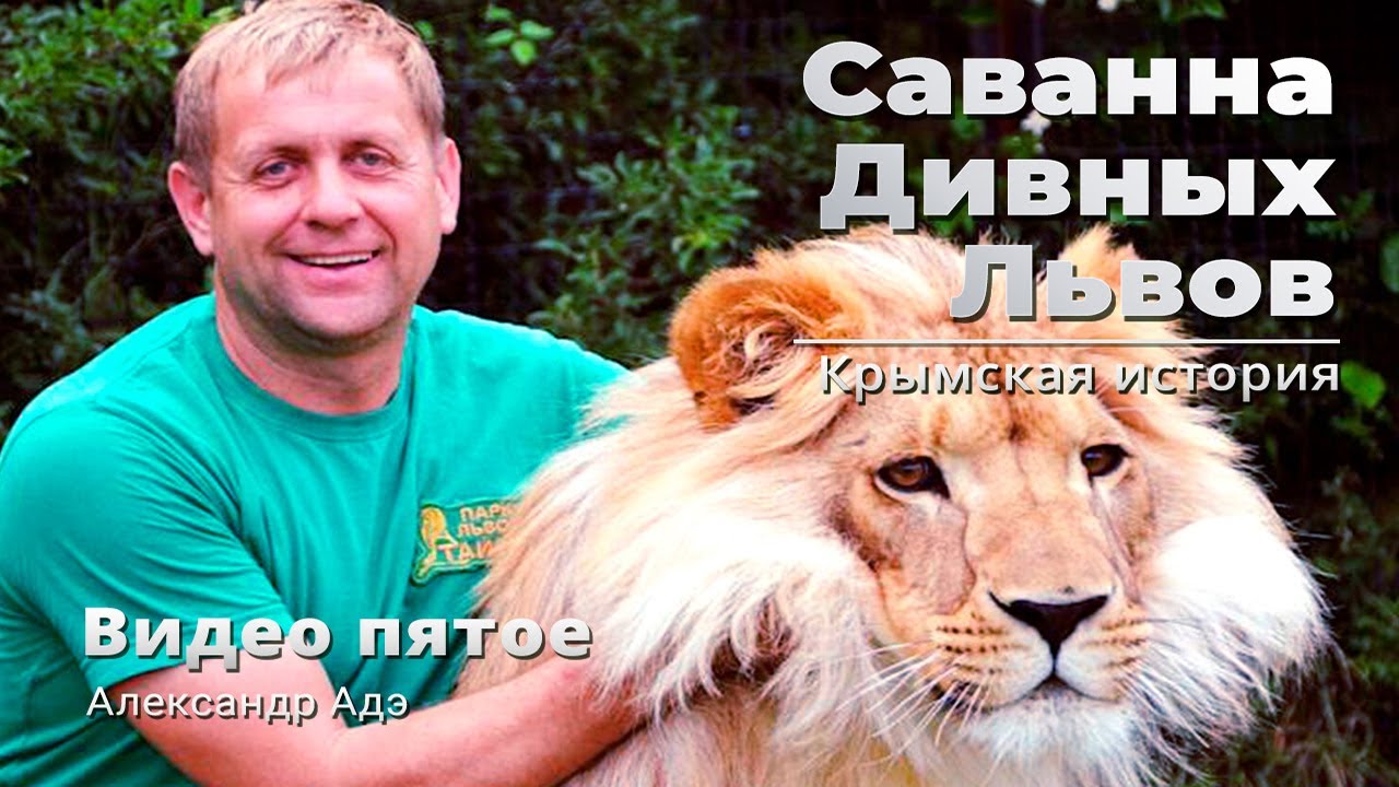 Александр Адэ - Саванна дивных львов (Видео 5)