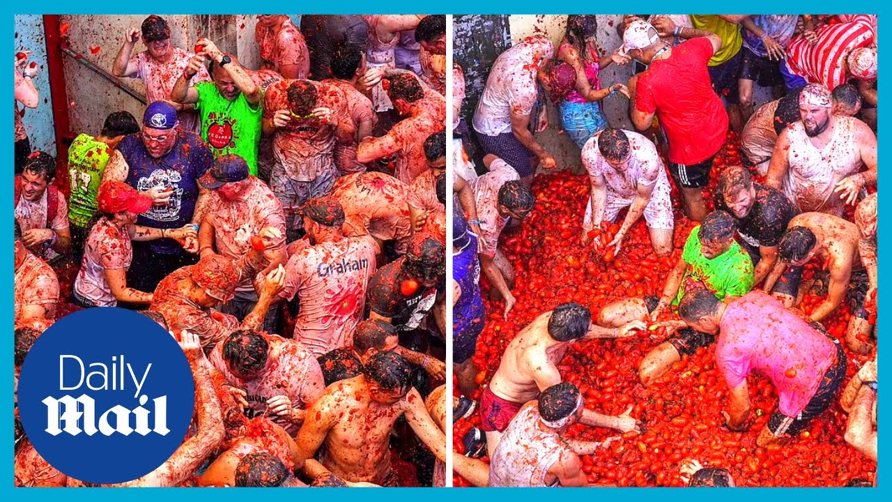 'Word's biggest food fight': Spain's famous tomato Tomatina festival is back