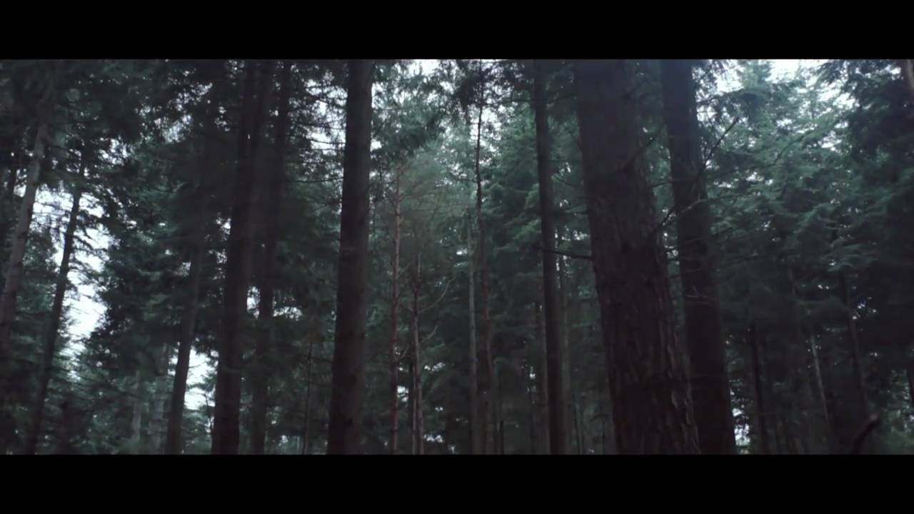 WORSHIP - Collateral