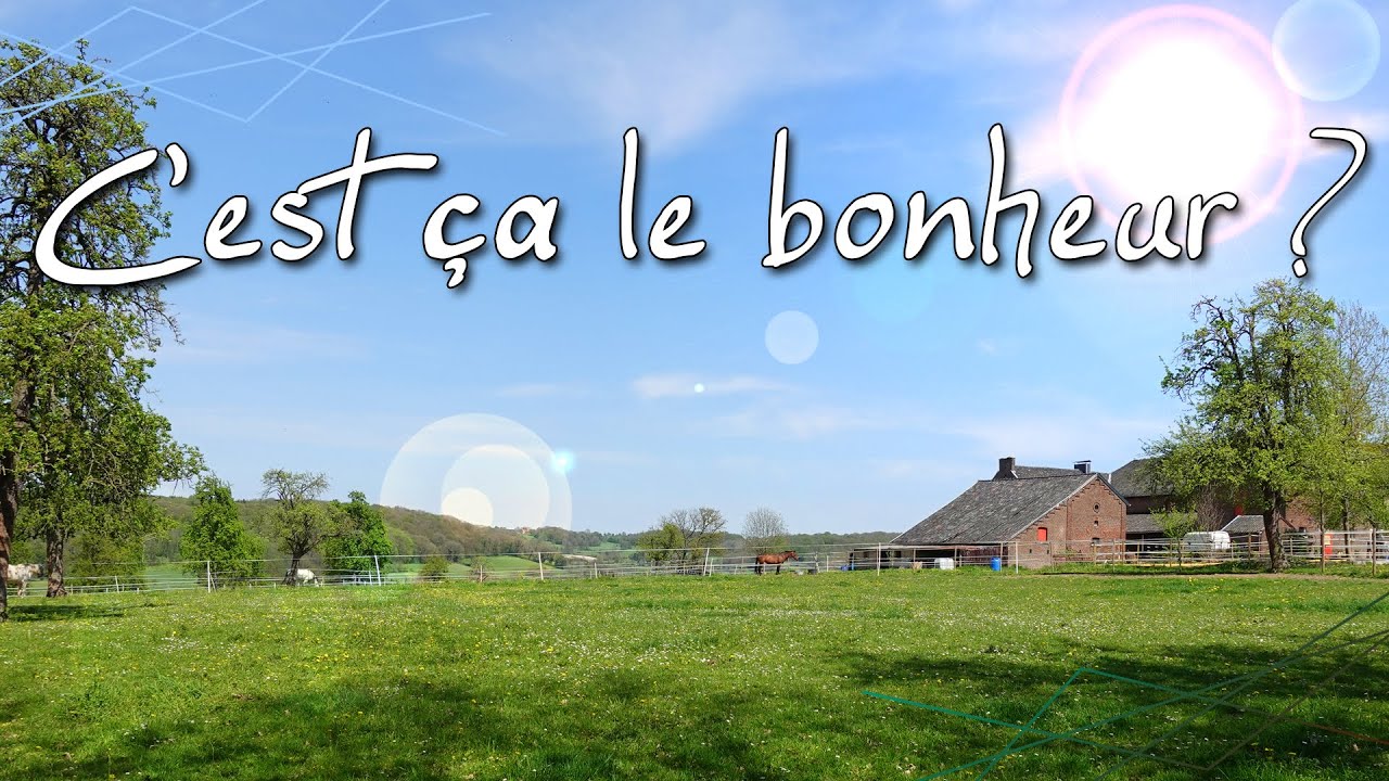 Tour de notre nouvelle écurie !
