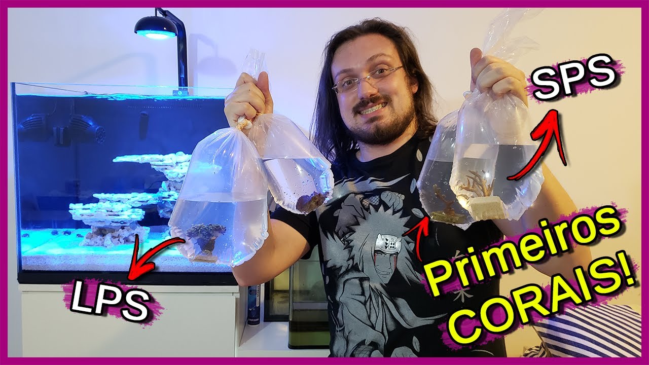Coloquei os Primeiros CORAIS no meu Aquário Marinho! (SPS e LPS)