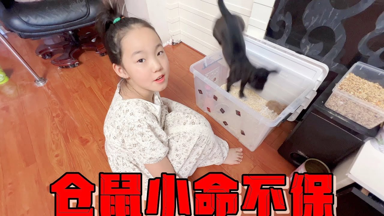 艾米家狗狗胆大包天，竟敢跳进仓鼠窝咬仓鼠，吓得母女俩六神无主