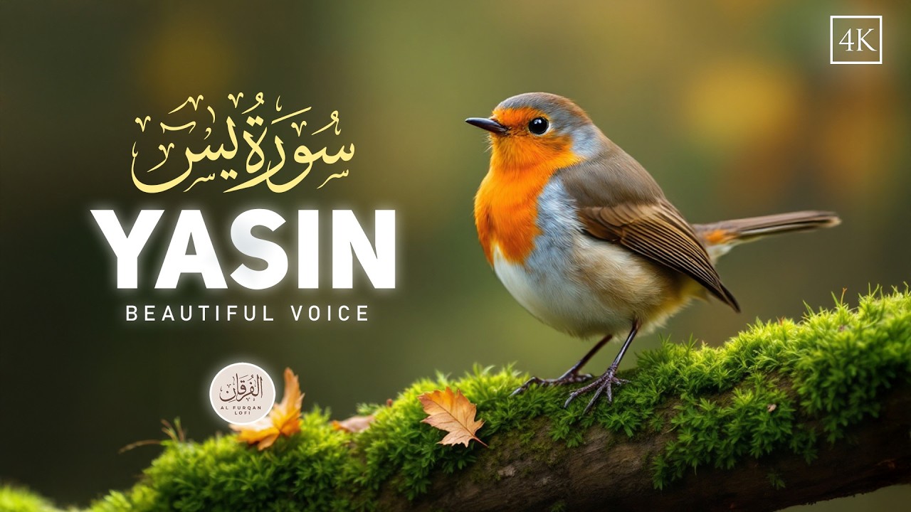 Surah Yaseen 🌙 Ramadan Special 2026 | Most Beautiful & Heart Touching Quran Recitation | 4K