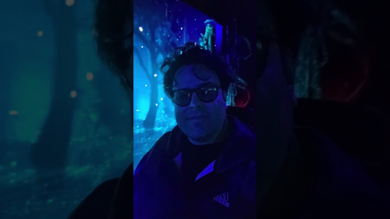 Stranger things 5 experience for adaptive chair users 
