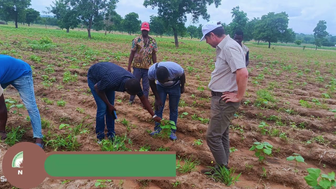 Visite de terrain du DG de la Nouvelle Société Cotonnière du Togo (NSCT) dans la Kara