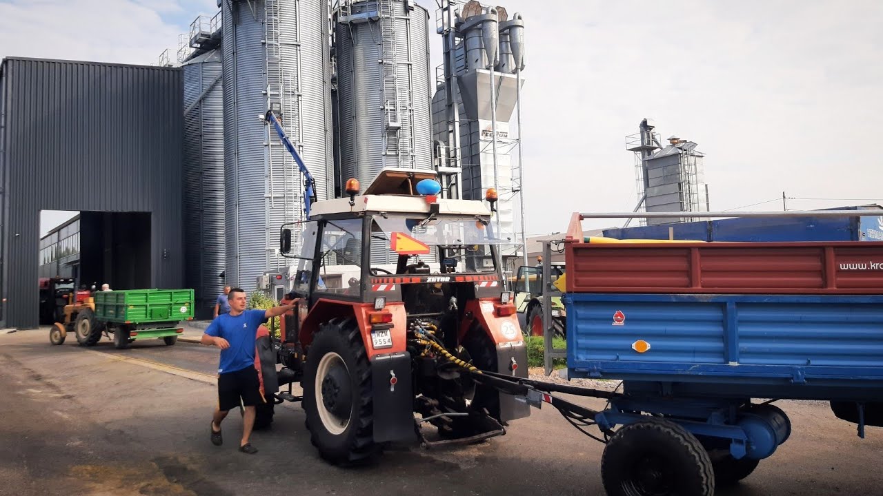 Wywóz zboża na skup - Zetor & 2x Autosan d732